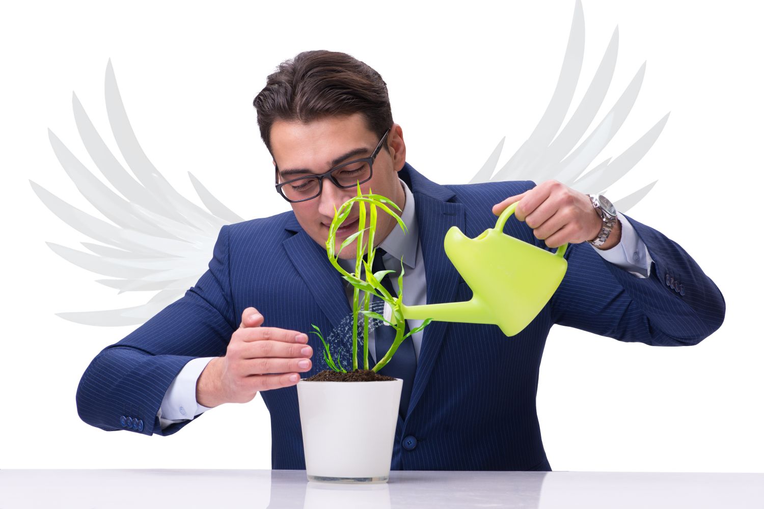 Business Angels: the funding tool for startups?